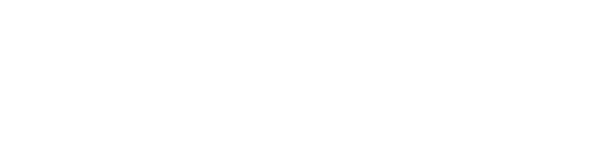 STORE white wordmark