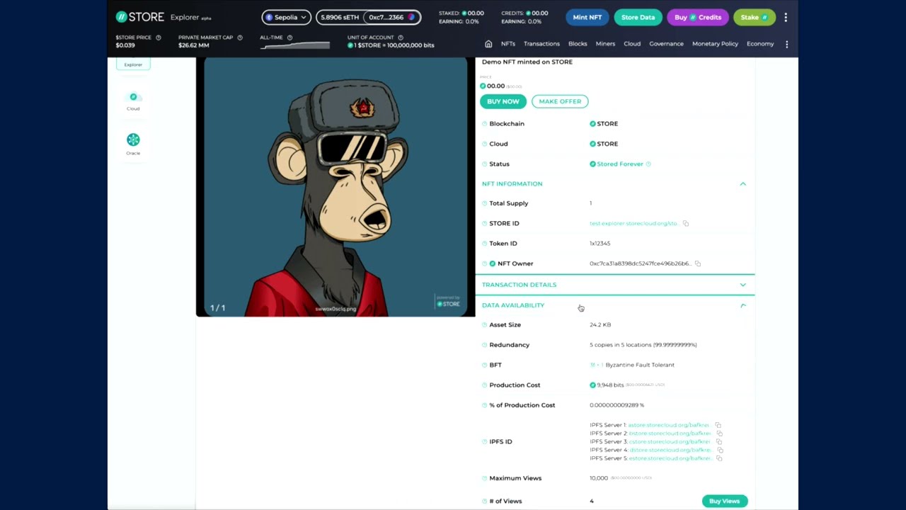 STORE 2024: A Technical Demo
